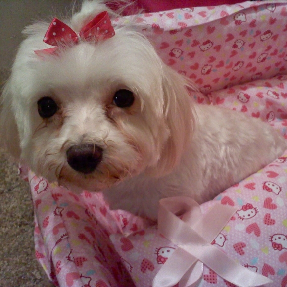 Meet your Posher, Elizabeth - Picture 8 of 9